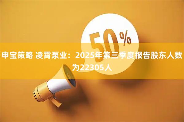 申宝策略 凌霄泵业：2025年第三季度报告股东人数为22305人